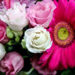 Lisianthus Make Great Cut-Flowers